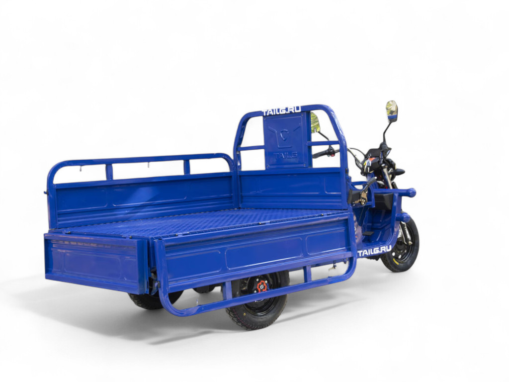 Электротрицикл TaiLG TL1000
