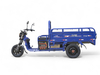 Электротрицикл TaiLG TL1000