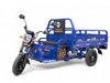 Электротрицикл TaiLG TL1000