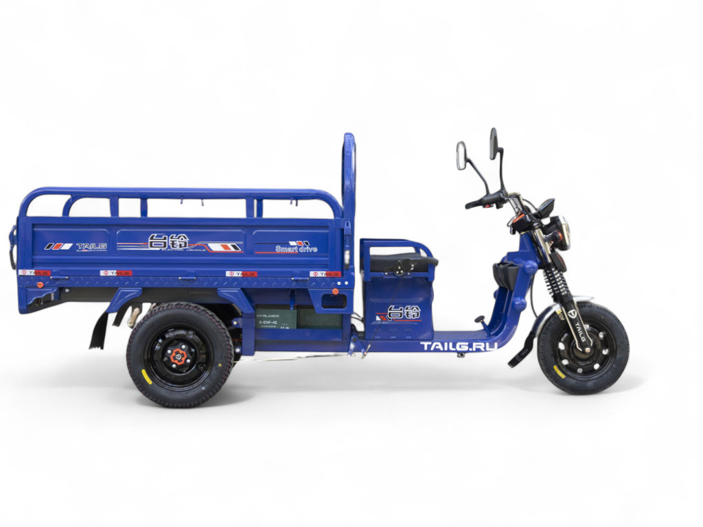 Электротрицикл TaiLG TL1000 с АКБ