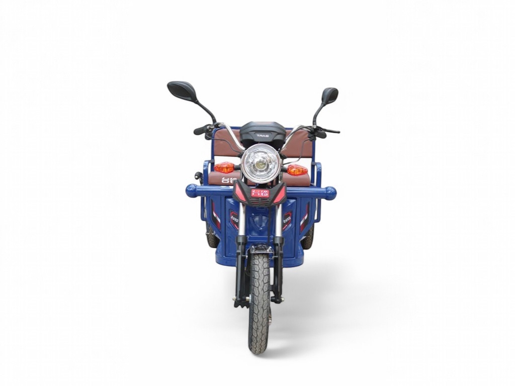 Электротрицикл TaiLG TL650