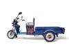 Электротрицикл TaiLG TL650