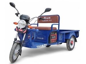 Электротрицикл TaiLG TL650