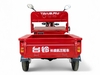 Электротрицикл TaiLG TL650