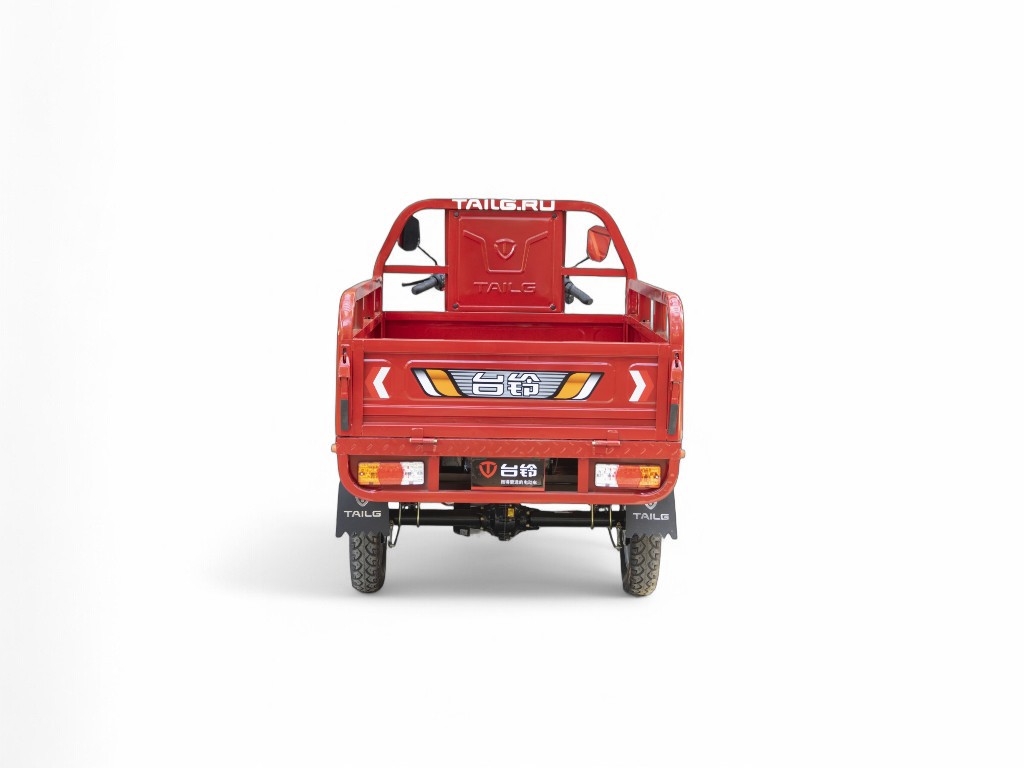 Электротрицикл TaiLG TL800