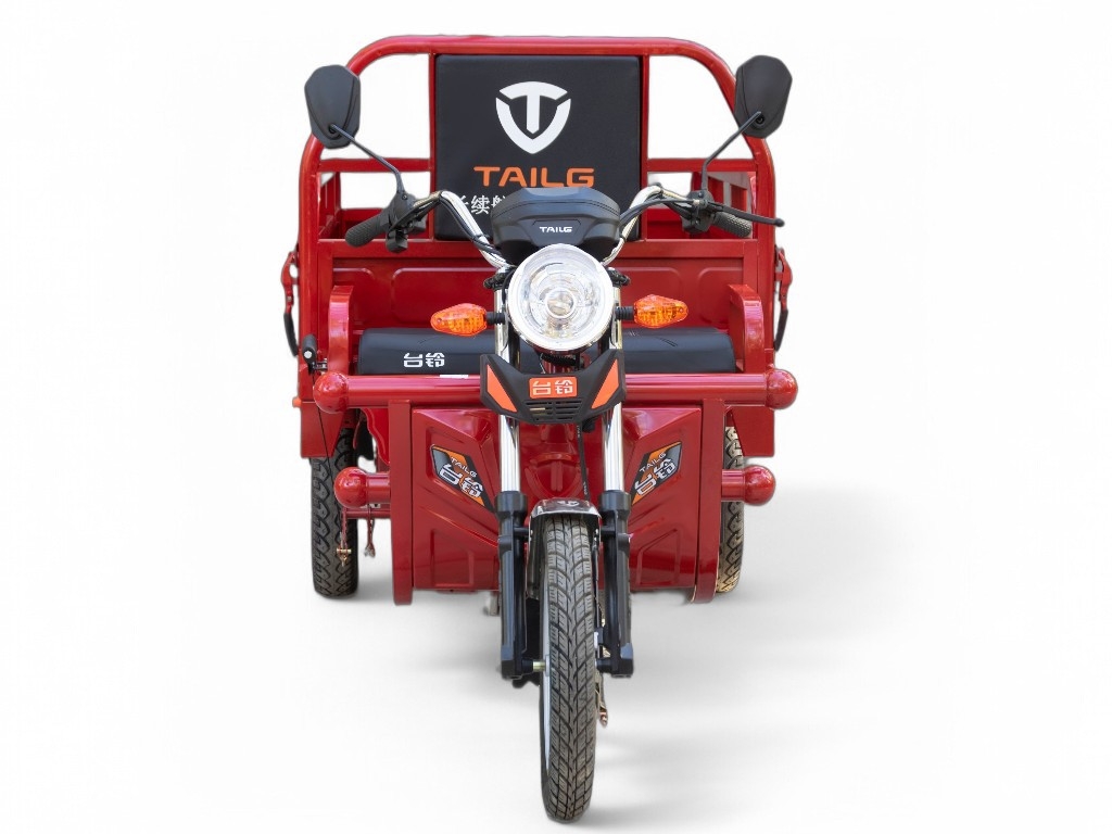 Электротрицикл TaiLG TL800